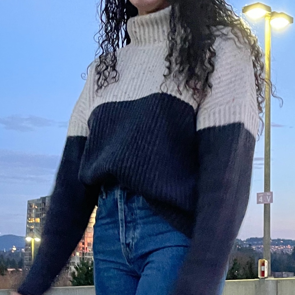 Chelsea 28 Colorblock Turtleneck Sweater